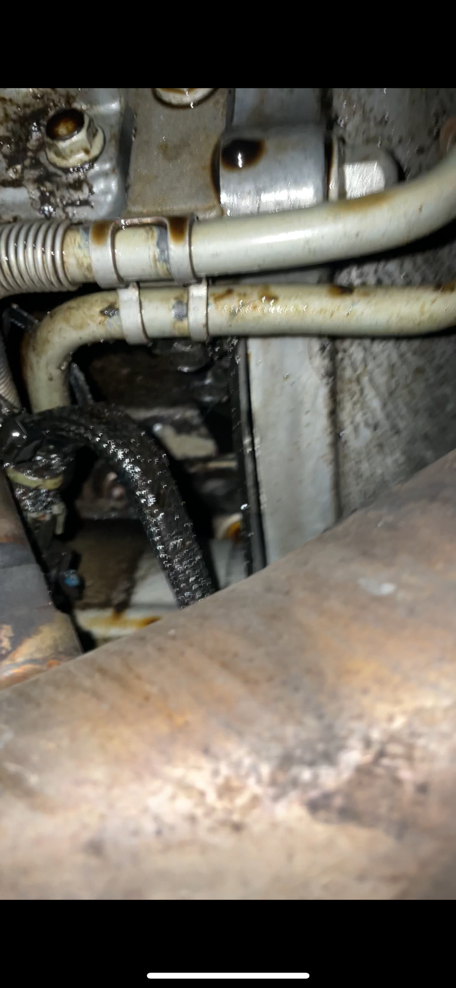 Passenger side back of the engine, starter has some oil on it