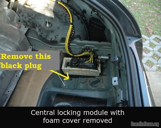 These are the plugs that you need to remove. One in each wheel well.