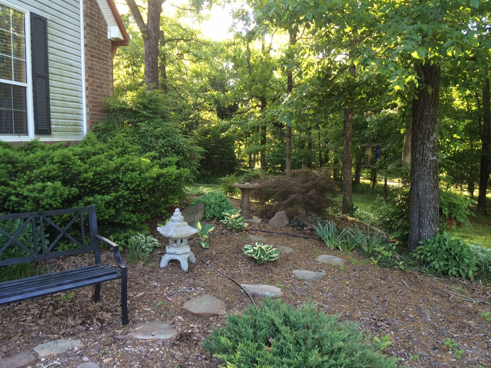 Arkansas garden photo by crazy4sedum on Garden Showcase