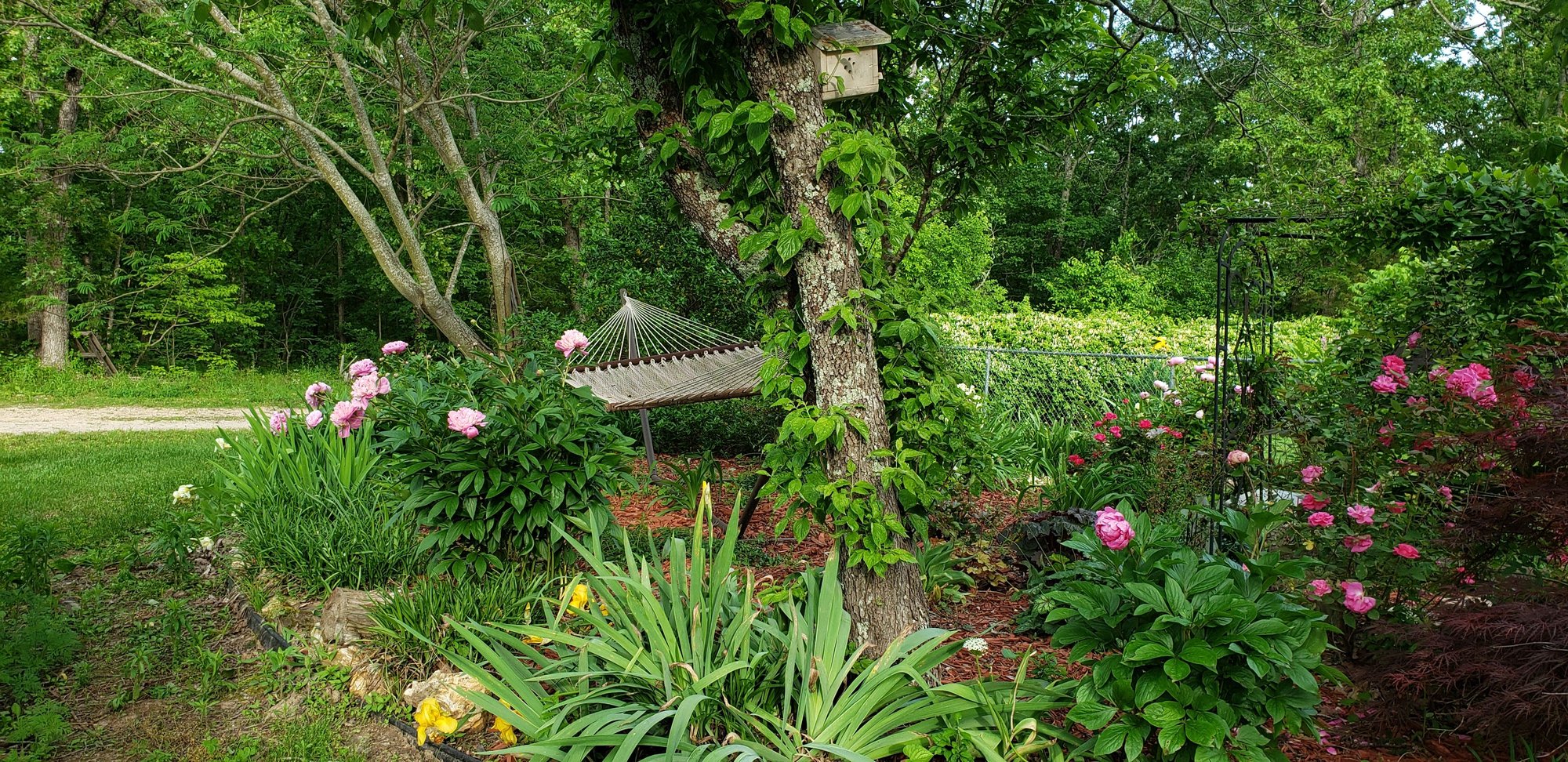 Front Yard Garden photo by cottageplots on Garden Showcase