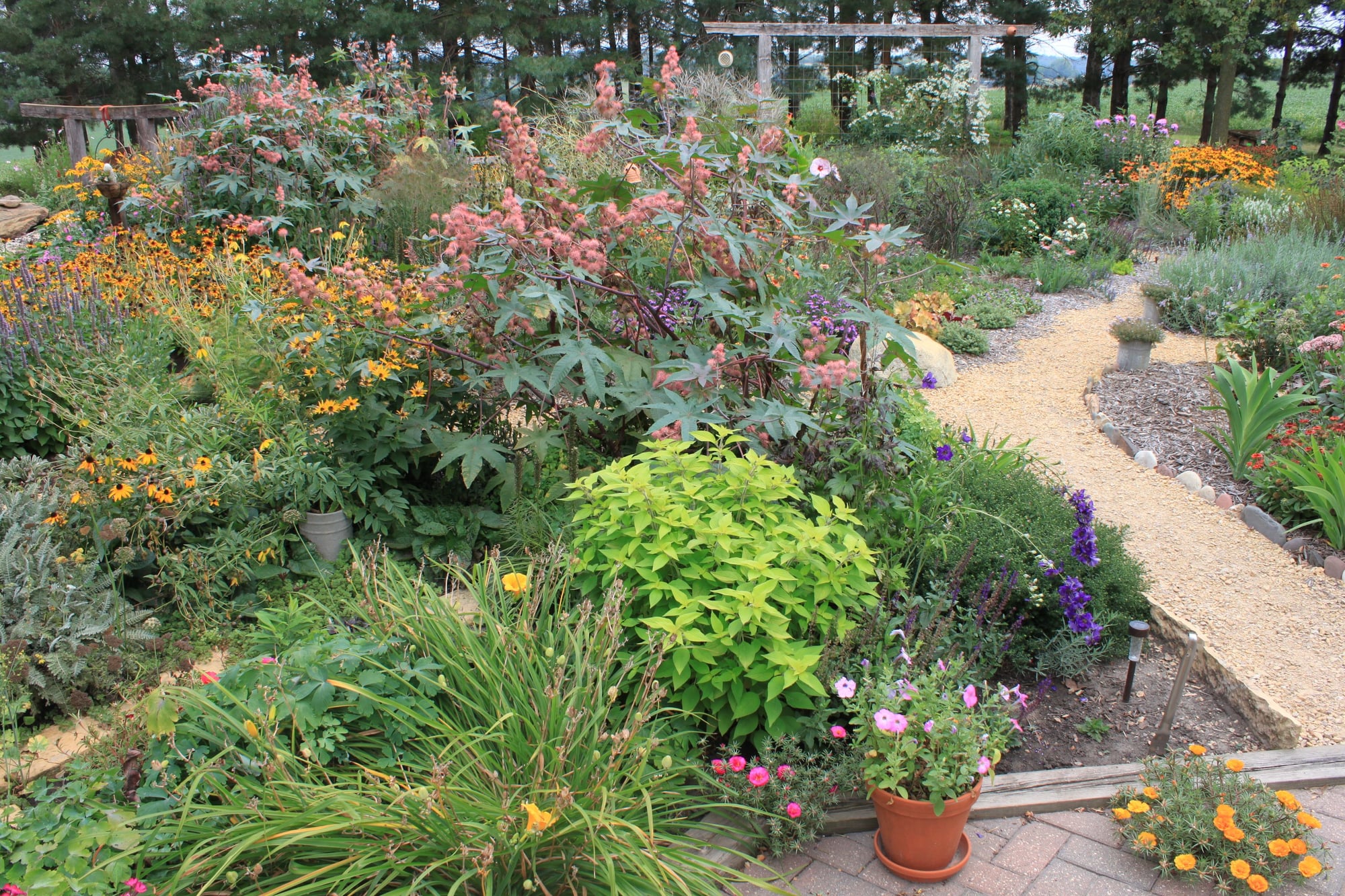 Gardens on the east side of th... photo by MNWildflower on Garden Showcase