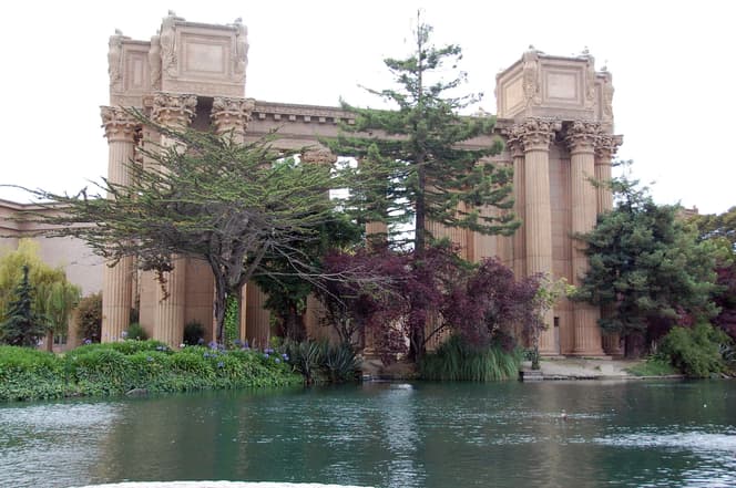 Tree plantings around the Palace of the Arts in San Francisco.