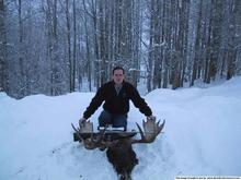 24609My Moose 01