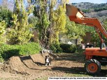 30746Tater Garden