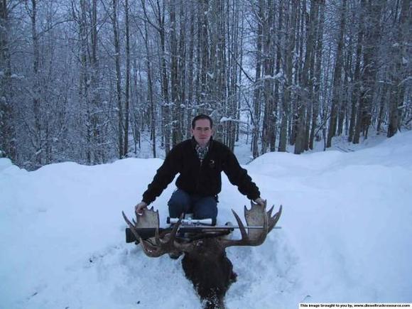 24609My Moose 01