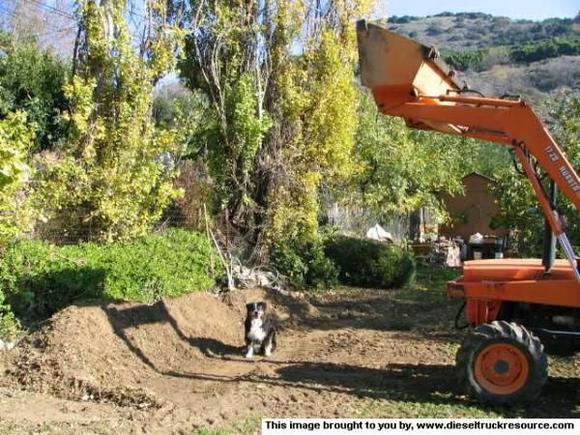 30746Tater Garden