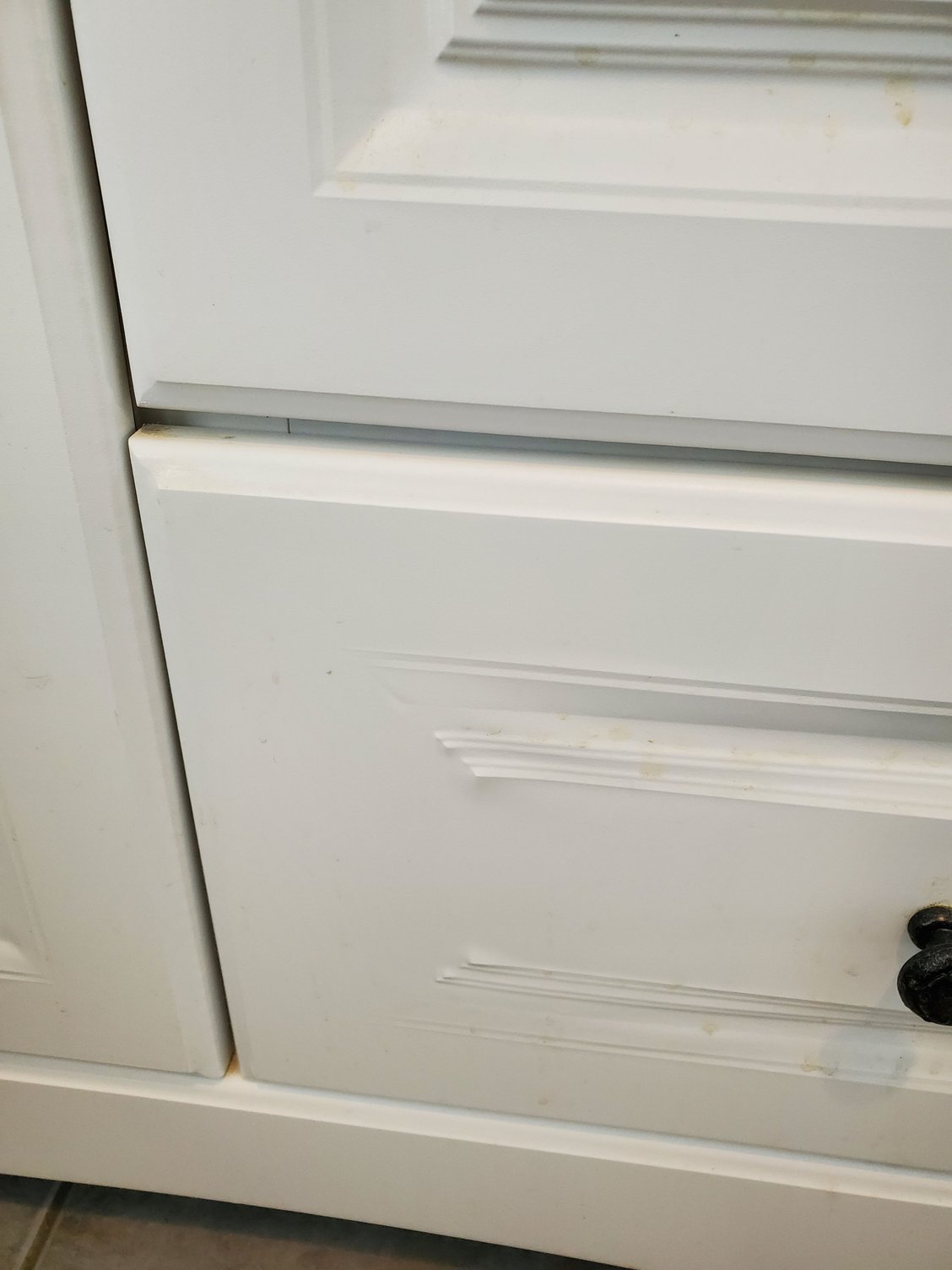 Veneer Lifting Off of Community Forums