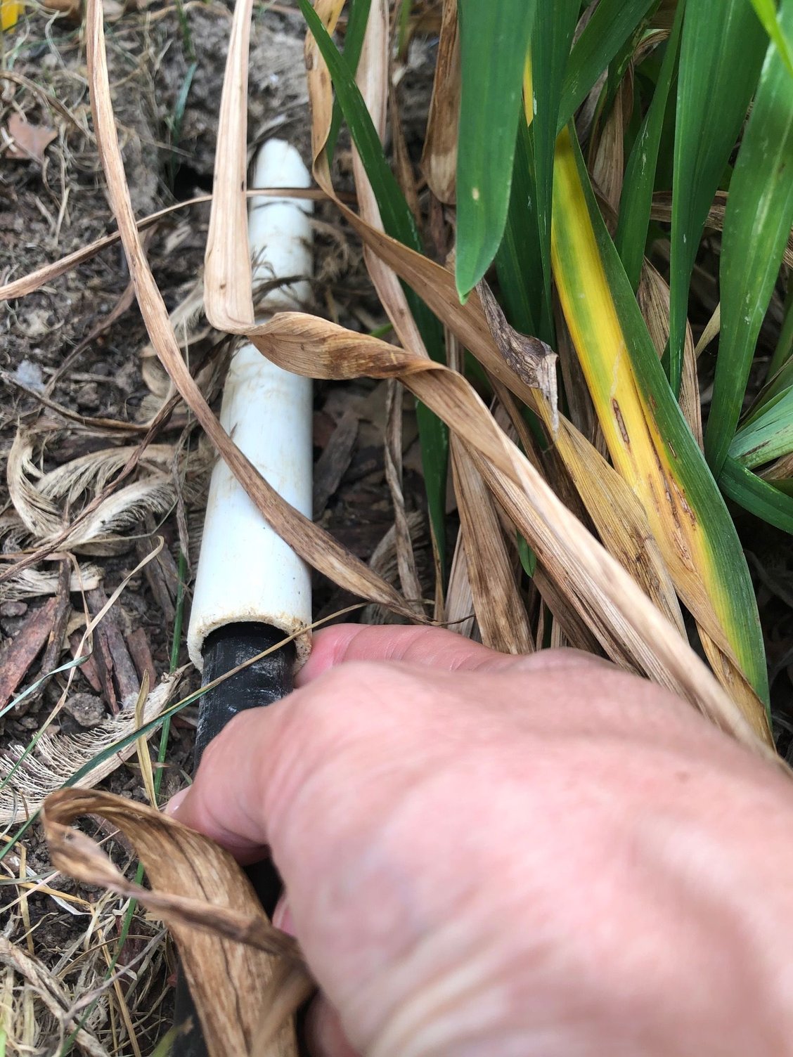 Will this PVC pipe okay to use for sprinkler system?