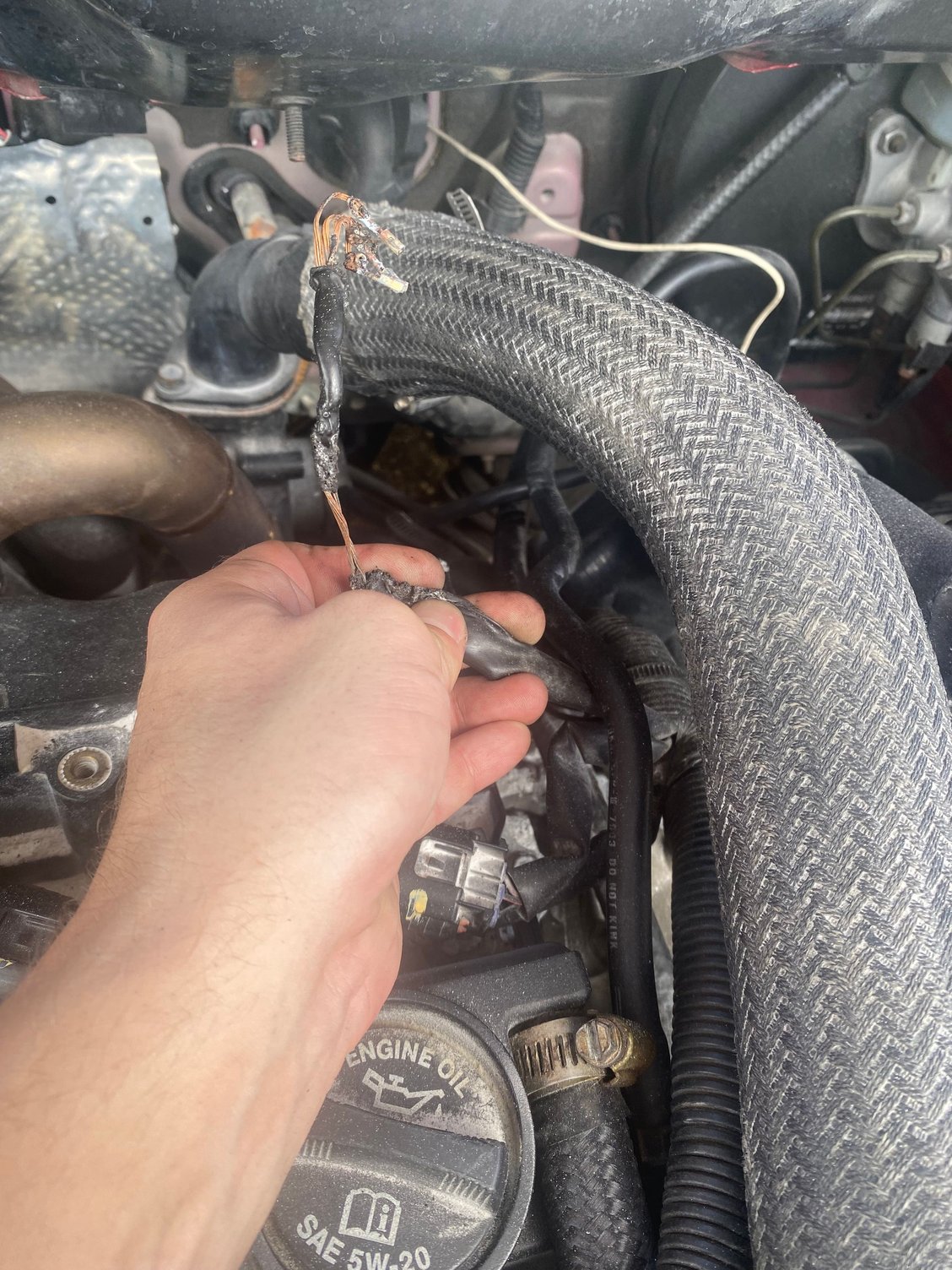 Cam sensor wiring colors EvolutionM Mitsubishi Lancer and Lancer