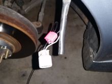 Negative (-) on fender signal tapped into the positive (+) of the front parking light