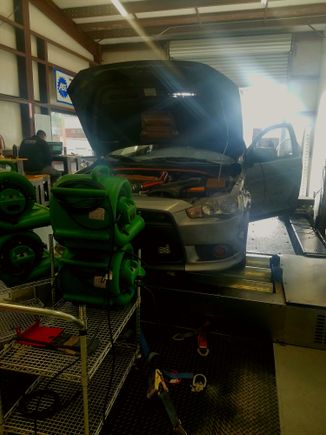 Elly on the dyno.