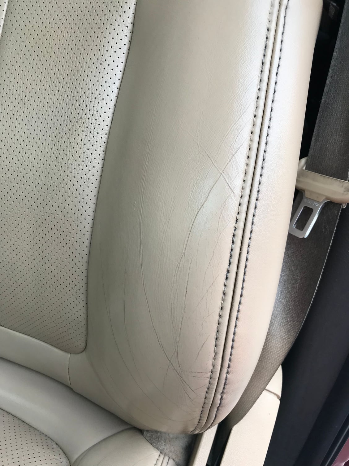 Leather seats cleaning, conditioning, repairing - Ford F150 Forum ...