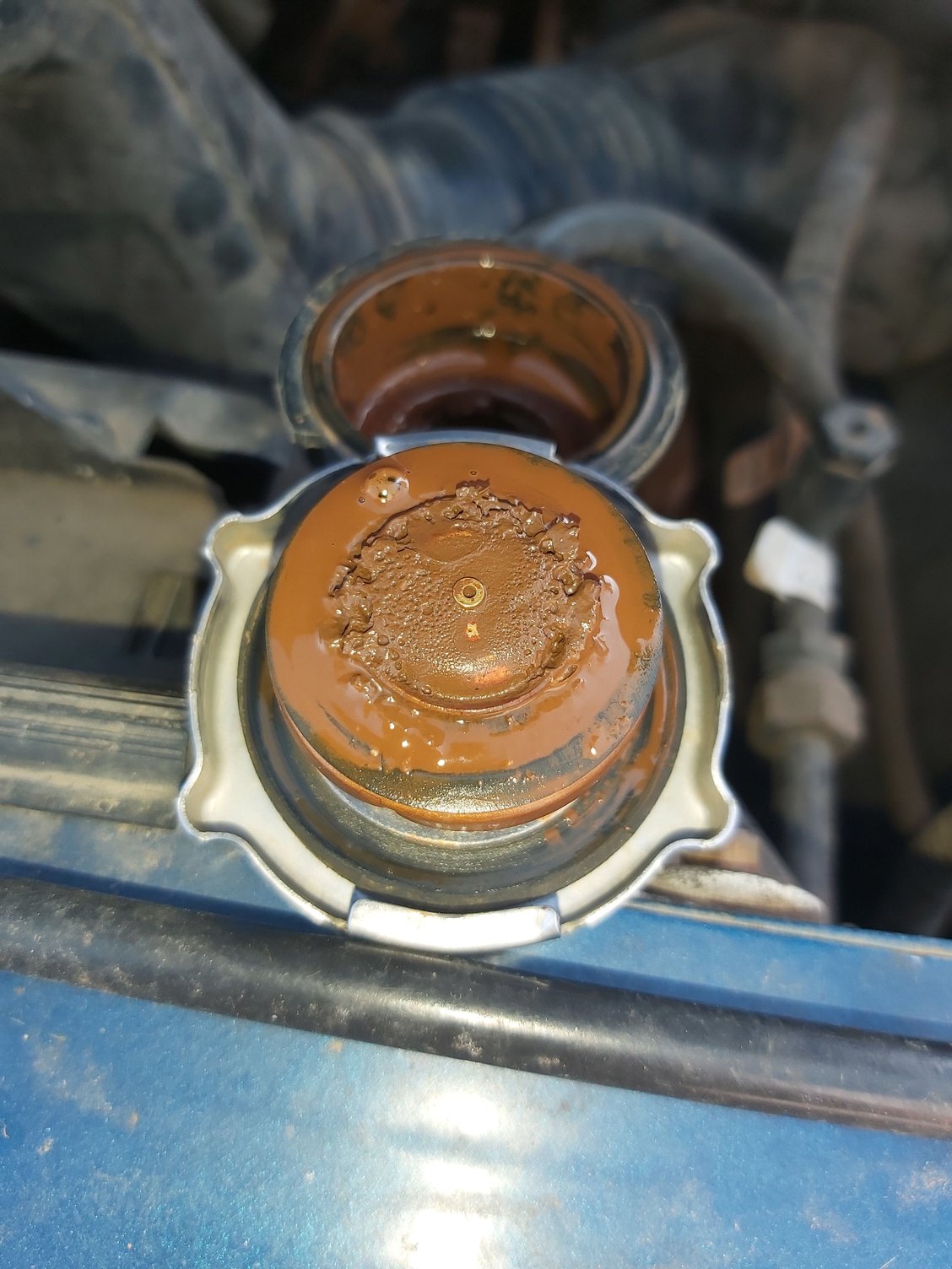 1995 Ford f250 5.8l manual head gasket issue? Ford F150 Forum