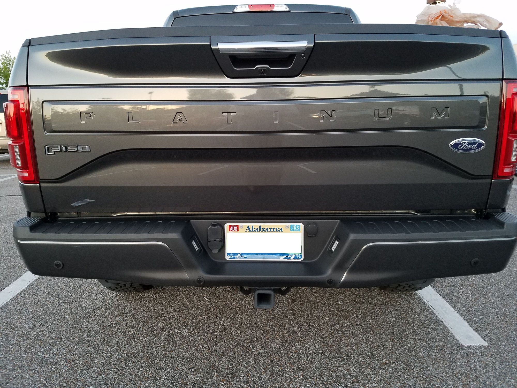 Painted my PLATINUM tailgate billboard Page 9 Ford F150 Forum