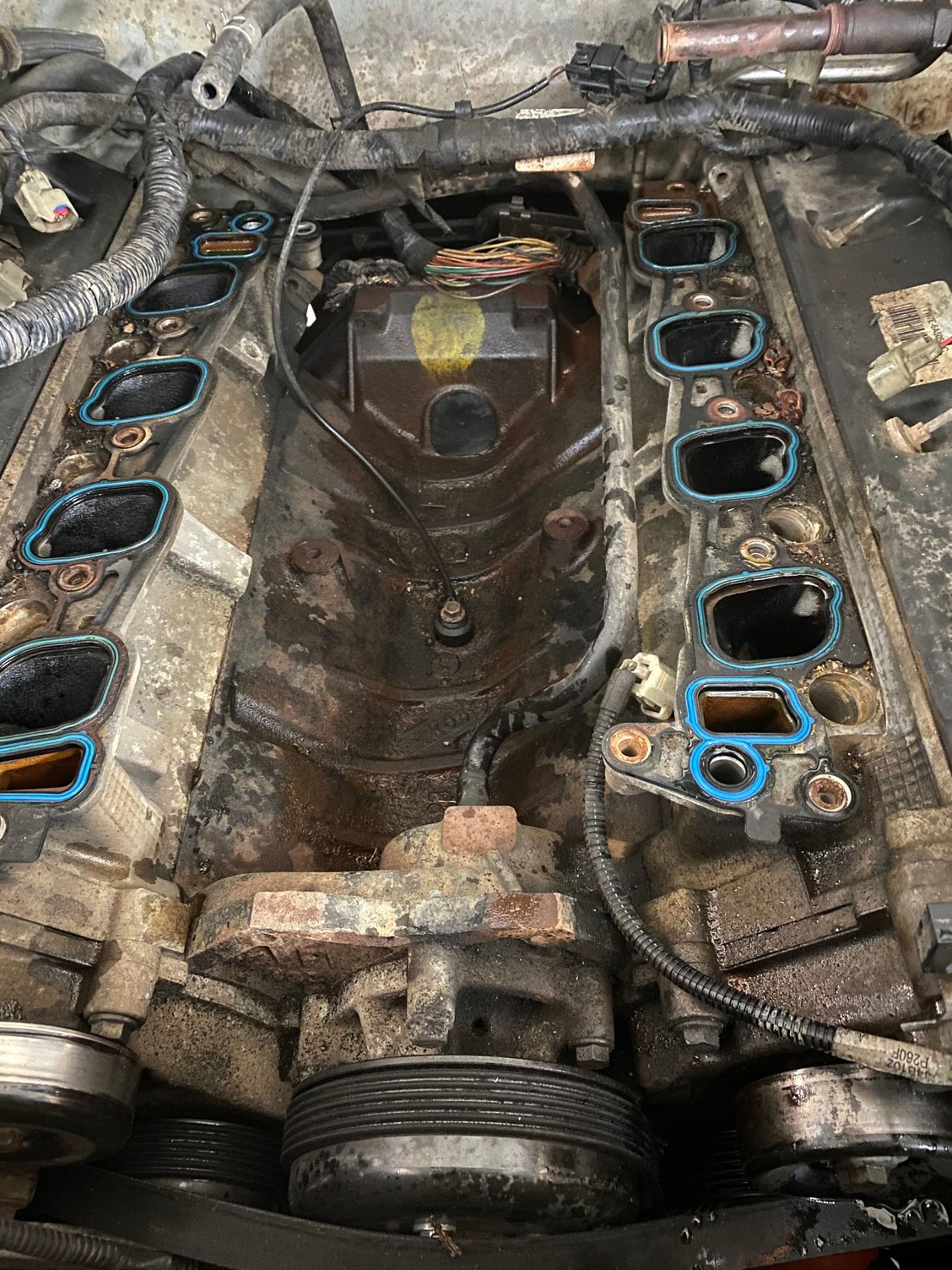 Need some help on identifying intake manifolds Ford F150 Forum Community of Ford Truck Fans