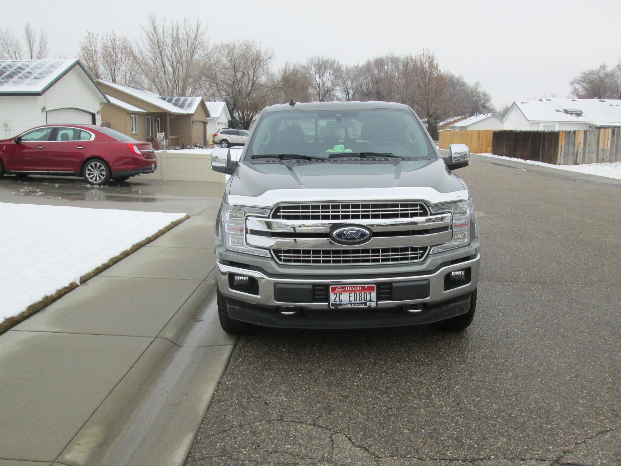 2019 f150 bug shield