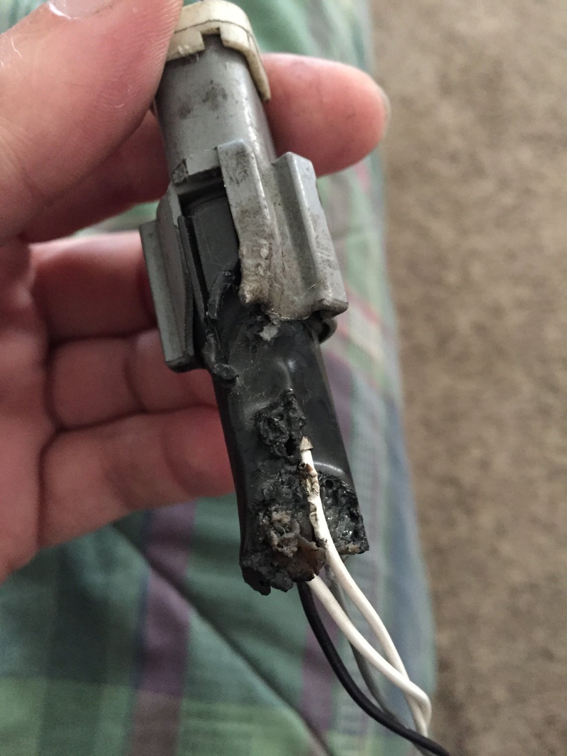 Check engine and wrench light on day after power washed engine Page 3