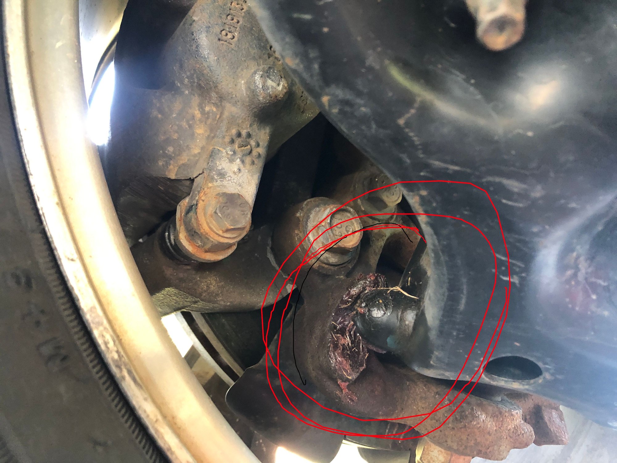 Grinding noises when making U turn Ford F150 Forum Community of