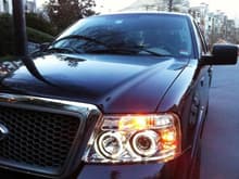 Exterior Image 
New LED Halo Projector Headlights