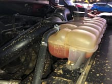 Dec. 7th after adding an entire gallon of coolant
