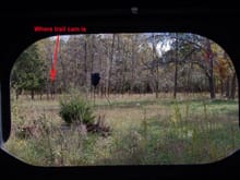 Looking out at the feeder. It's about 2o yds. away. Where I have the trail cam marked, is where the buck was at in the next picture. That would of been about 45yds. away, still in range for my crossbow.