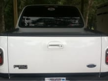 Painted tailgate handle