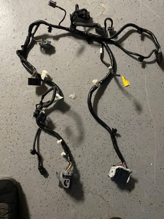Same harness pictured in full view