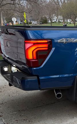 2025 F150 with 24-26 oem style LED