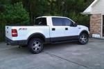06 F150 FX4 Screw