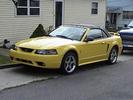 Dad's Stang
