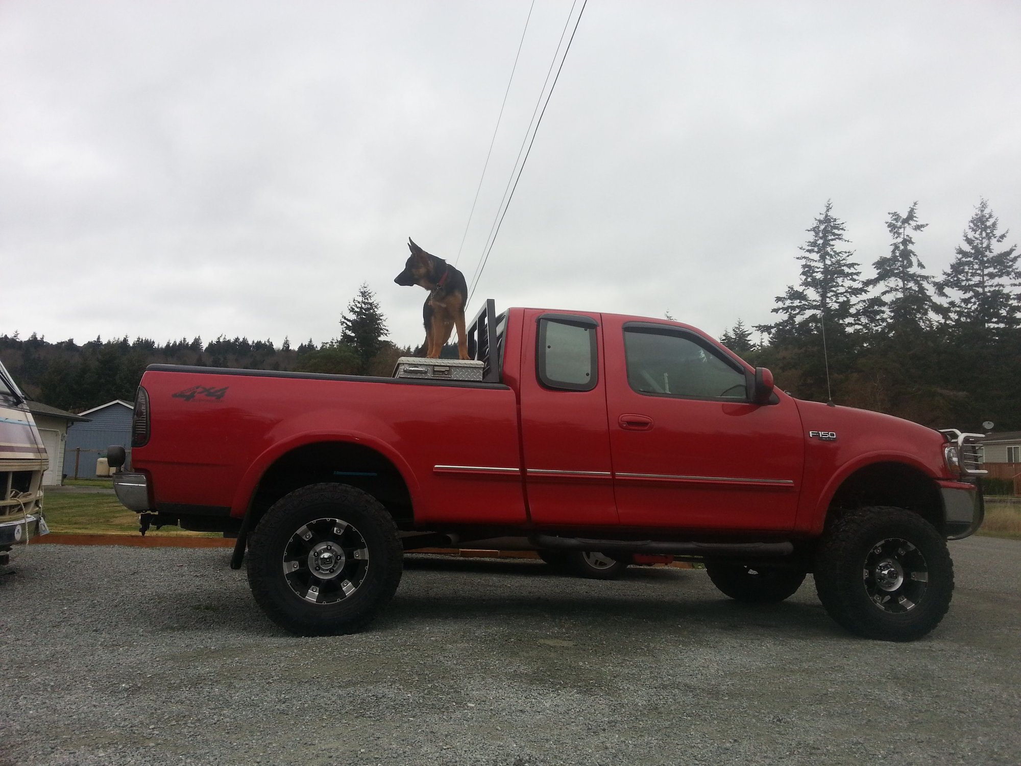 Which lift kit? - F150online Forums