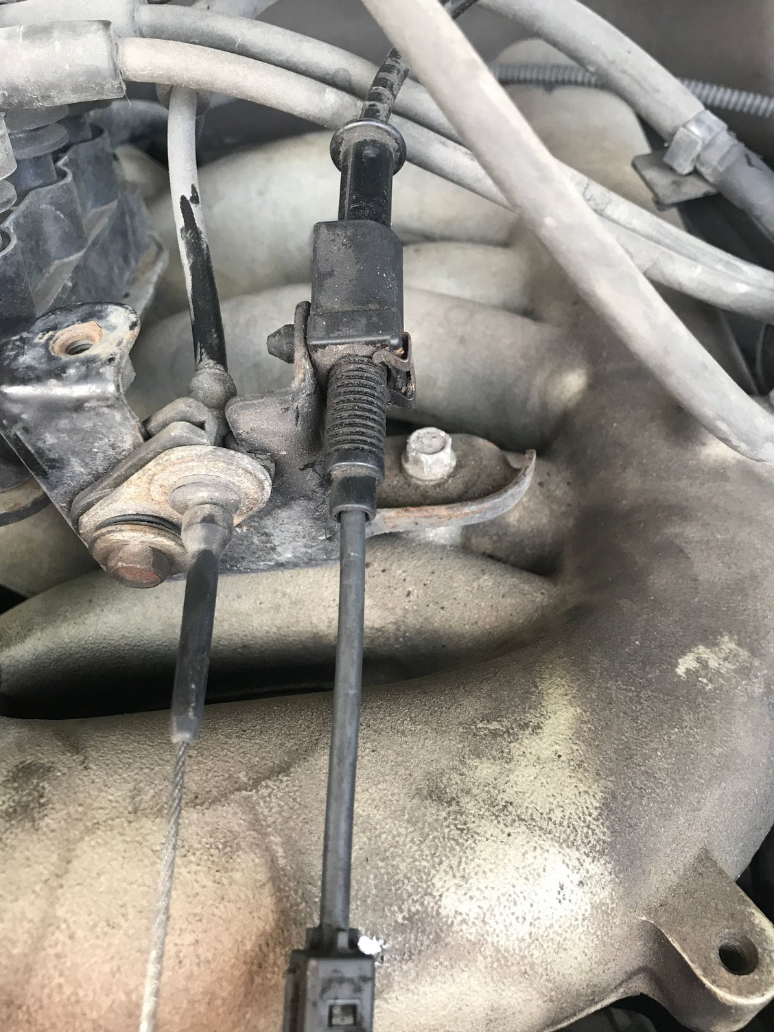 Cruise control cable Forums