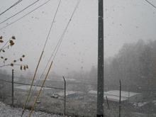 IMG 1436