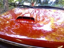 hood scoop on and painted