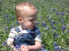 IIt's a law -- if you live in Texas, you have to get a springtime shot with the bluebonnets!