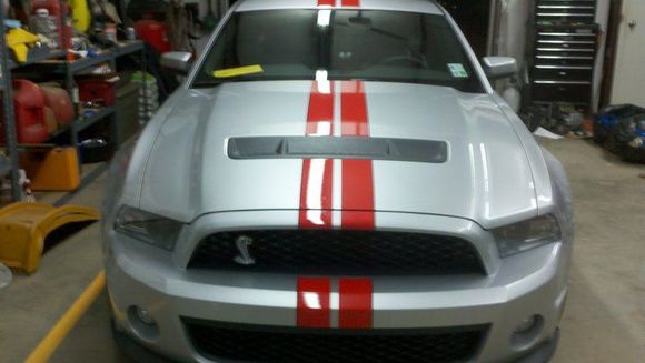 shelby2