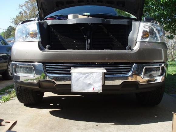 04-05 Roush lower grille