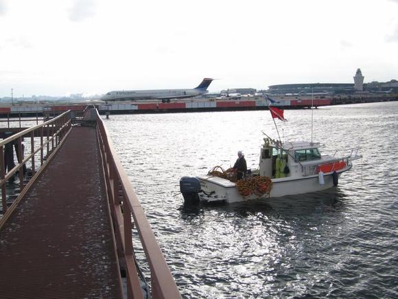 LGA inspection