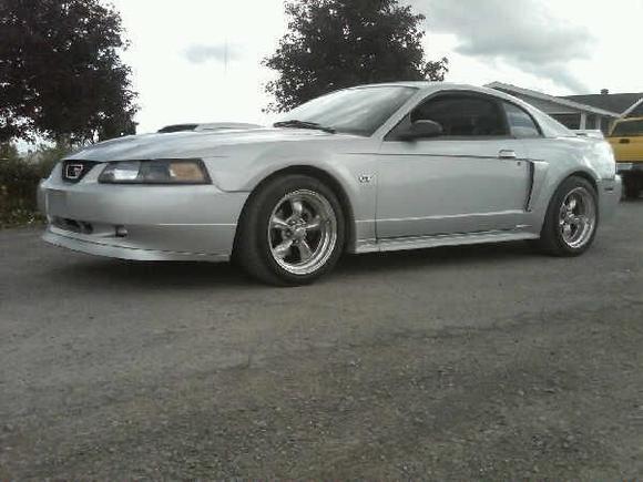 Super Stang