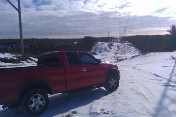 state forest