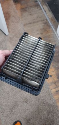Car only had about 38k on it when I picked it up. Had this filter ever been changed?!?!  Nasty. 