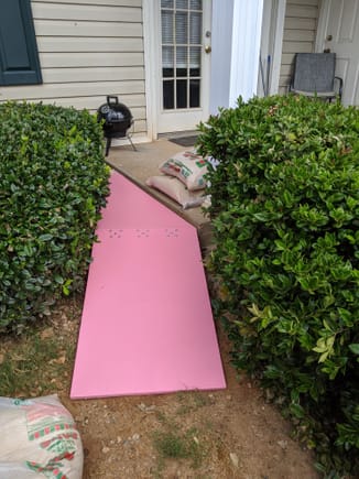 Ramp for our two 10 year old dogs