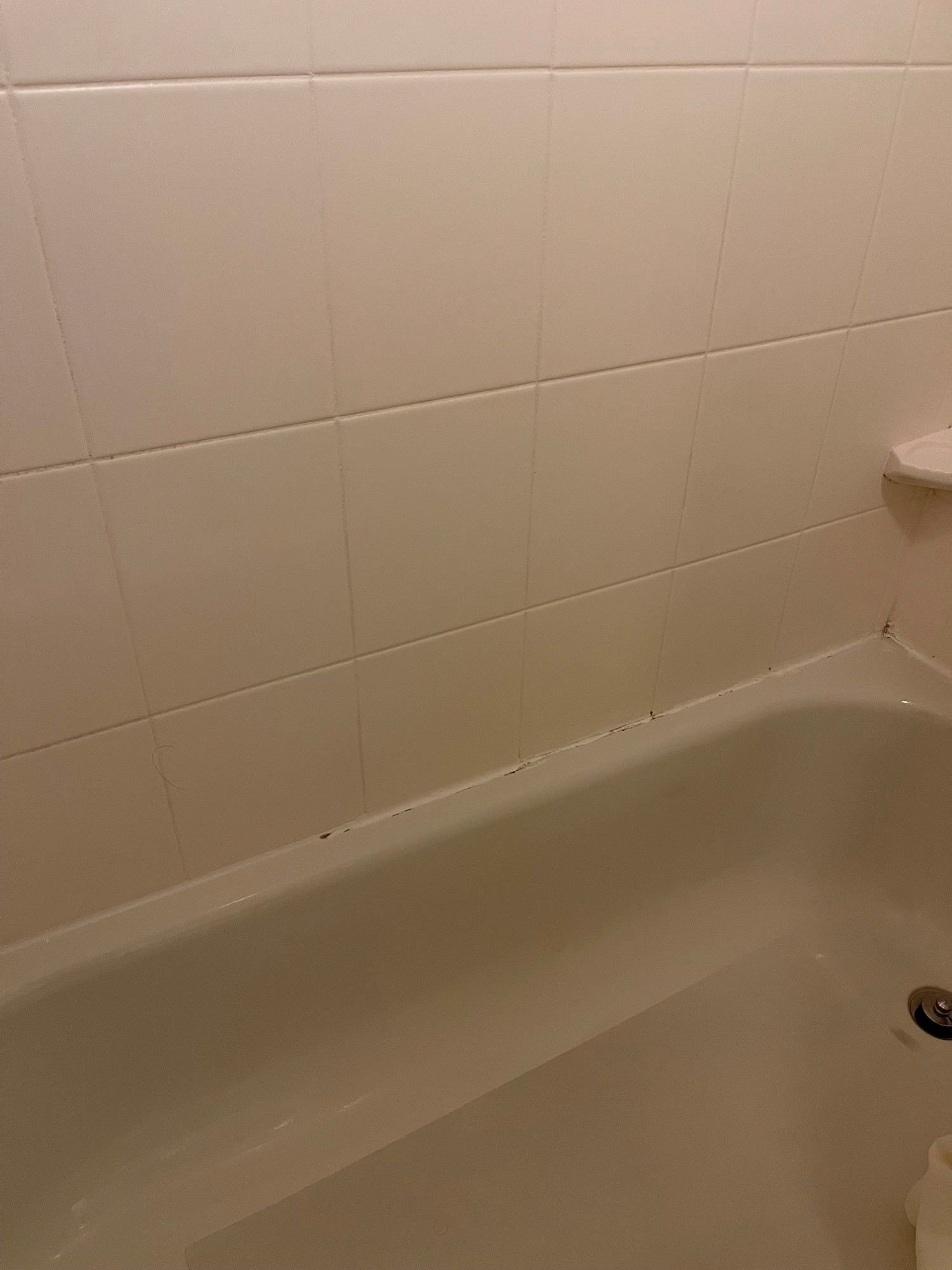 Moldy Bathtub, Clogged Sink, Missing Toiletries How to Get a Refund