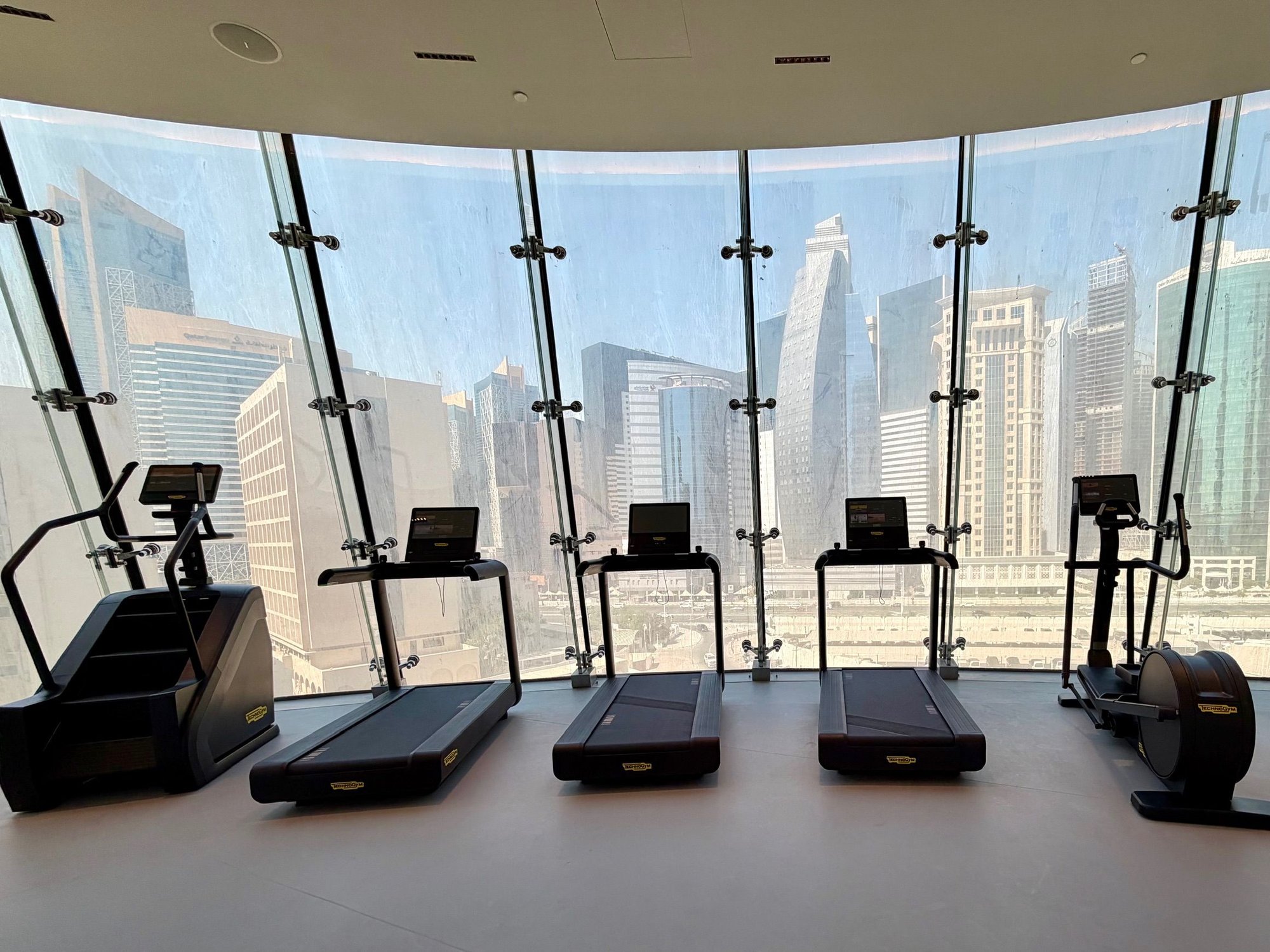 Gym equipment - cardio (15 various cardio machines)