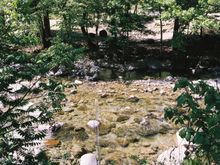 Stream on hotel grounds