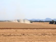 Agricultural views