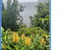 There are several popular  hikes, one of which is Kilauea Iki, which leads  into a crater that erupted in 1959.  Hiking down about 400 feet, you then cross the solidified lava lake and up the other side.  Prepare for all types of weather, and take water.  