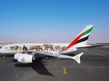 DXB is becoming a zoo