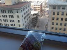 An interesting selection of cheeses, red grapes and a grain lavash👍 