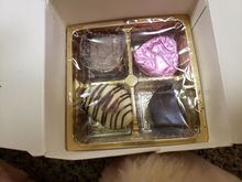 Closeup-Belgian chocolates -(3 trays of these)

Came to my office and opened what I thought was my new office phone to find awesome gifts from Samosa, a fellow lawyer who lives in CA. He knew I am going snorkeling in Cozumel, so he got me a customized luggage tag, a travel snorkel, and antifog spray. I also got fancy soap, airline wings, Belgian truffles (12), and a travel coloring book (thanks, wife!) Love them all, and so glad they came early as I am very likely spending Thanksgiving alone. 